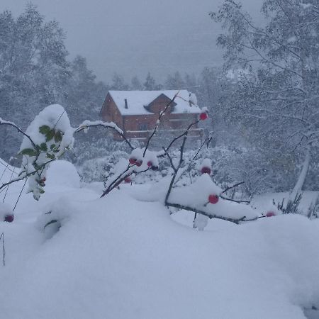 Chalet Bois Au Milieu Des Pyrenees LʼHospitalet-près-lʼAndorre Buitenkant foto
