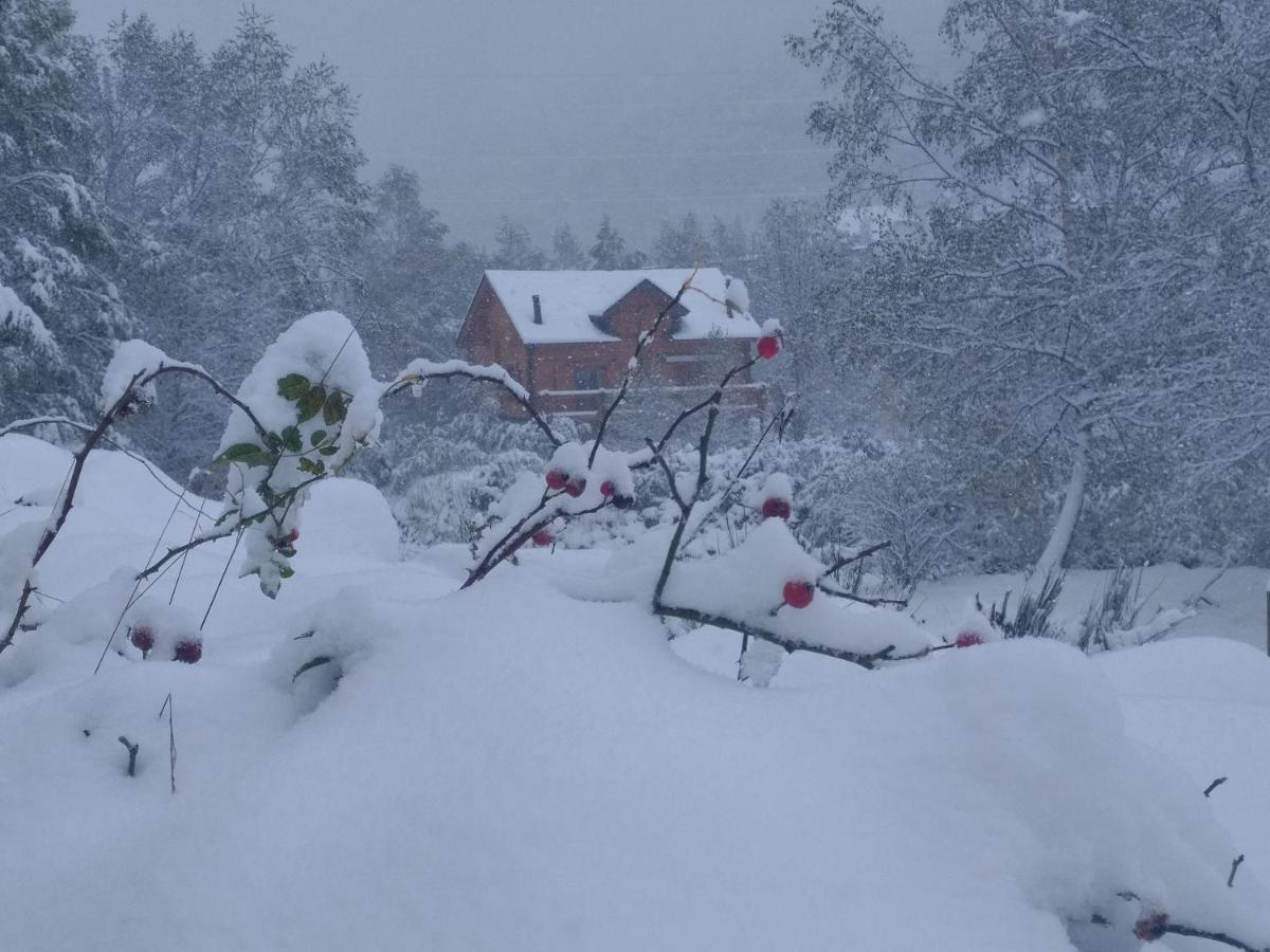 Chalet Bois Au Milieu Des Pyrenees LʼHospitalet-près-lʼAndorre Buitenkant foto